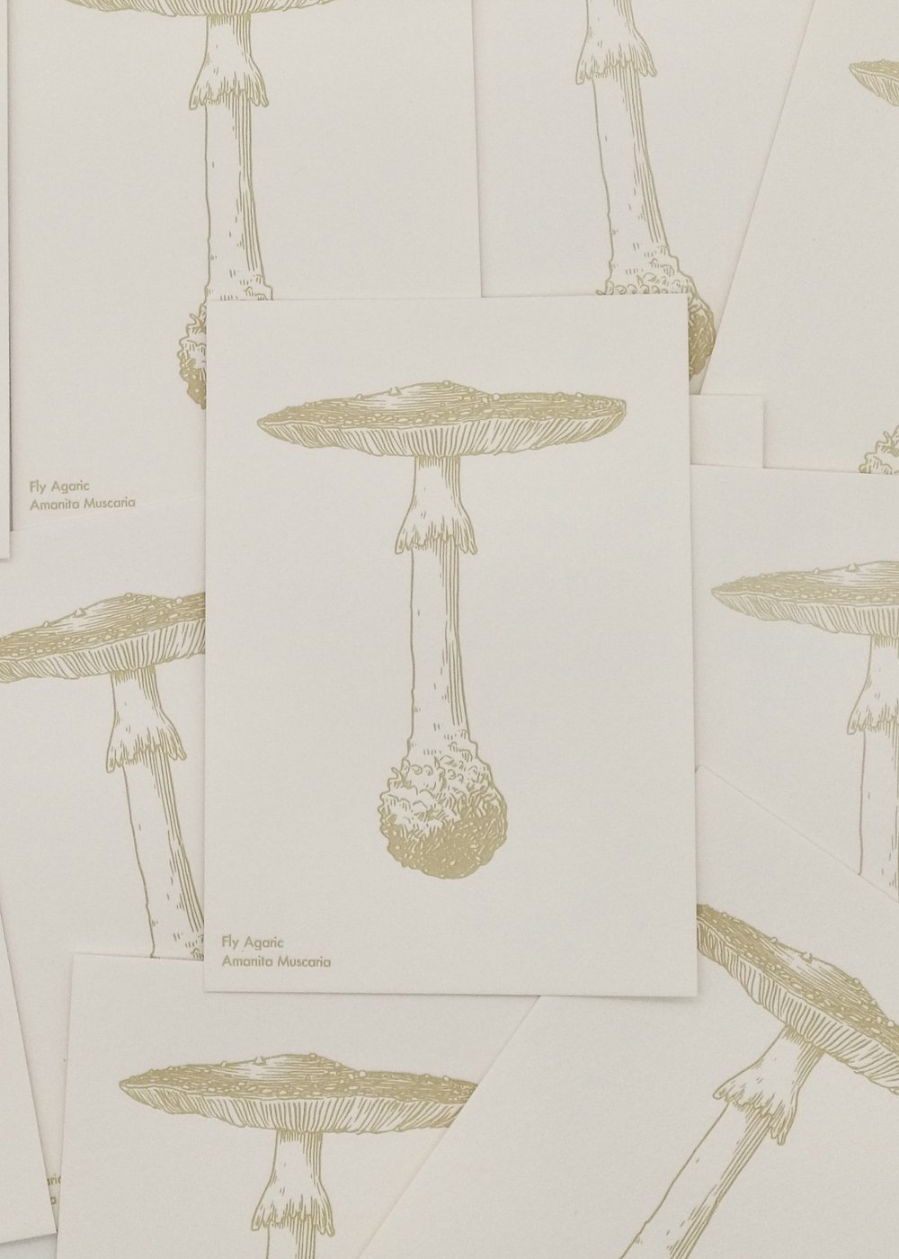Watercolor Mushroom Postcards