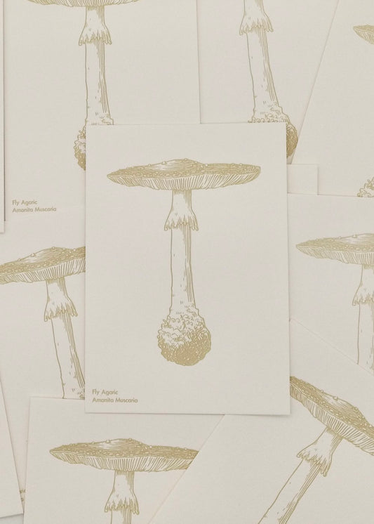 Watercolor Mushroom Postcards