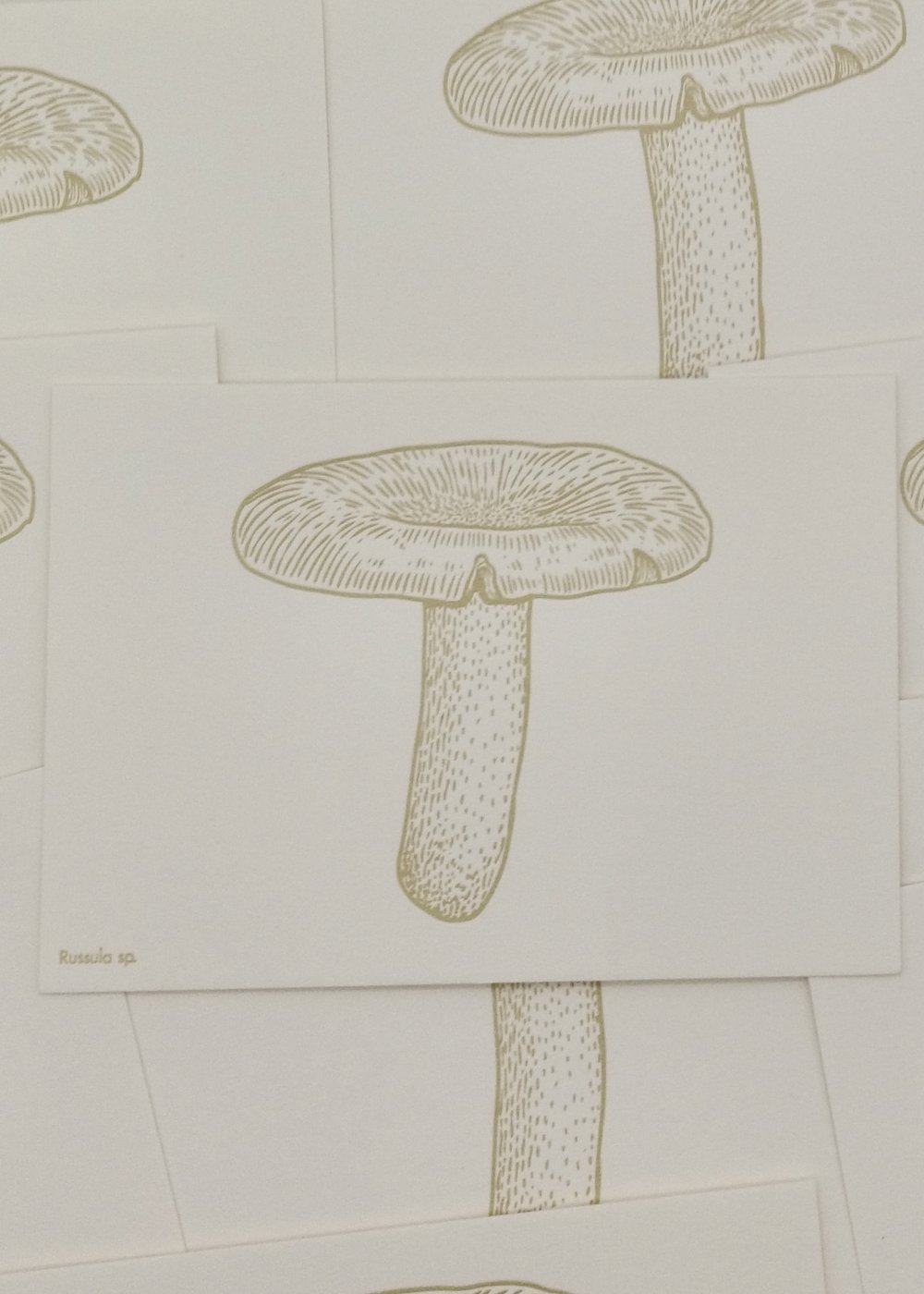 Watercolor Mushroom Postcards