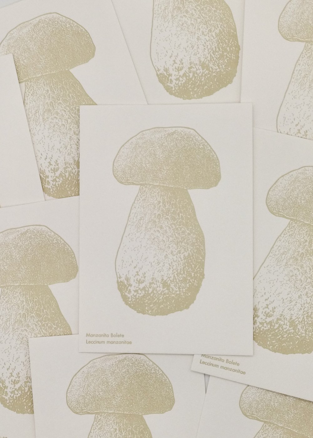 Watercolor Mushroom Postcards
