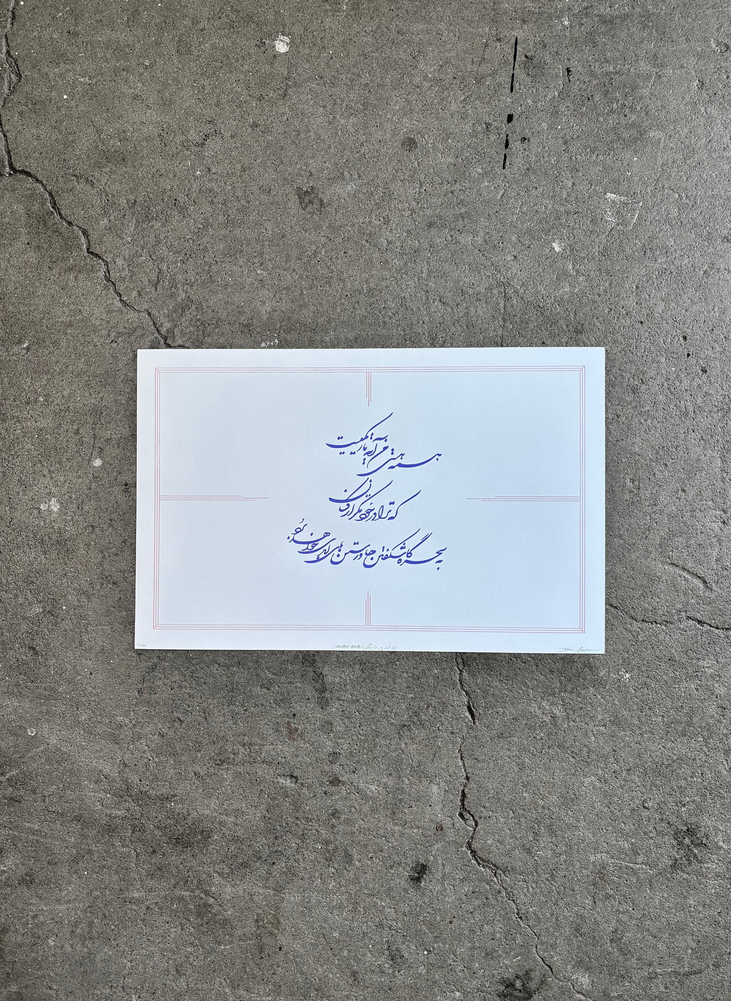 Mina Fardeen / Another Birth