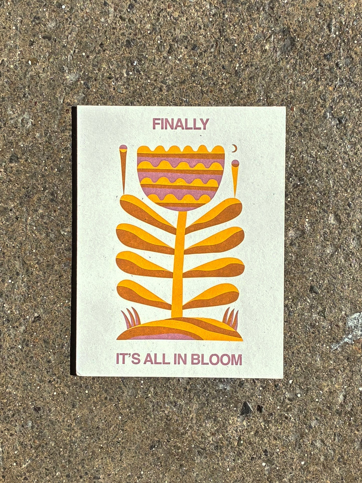 Wyatt Hersey / Finally It's All In Bloom