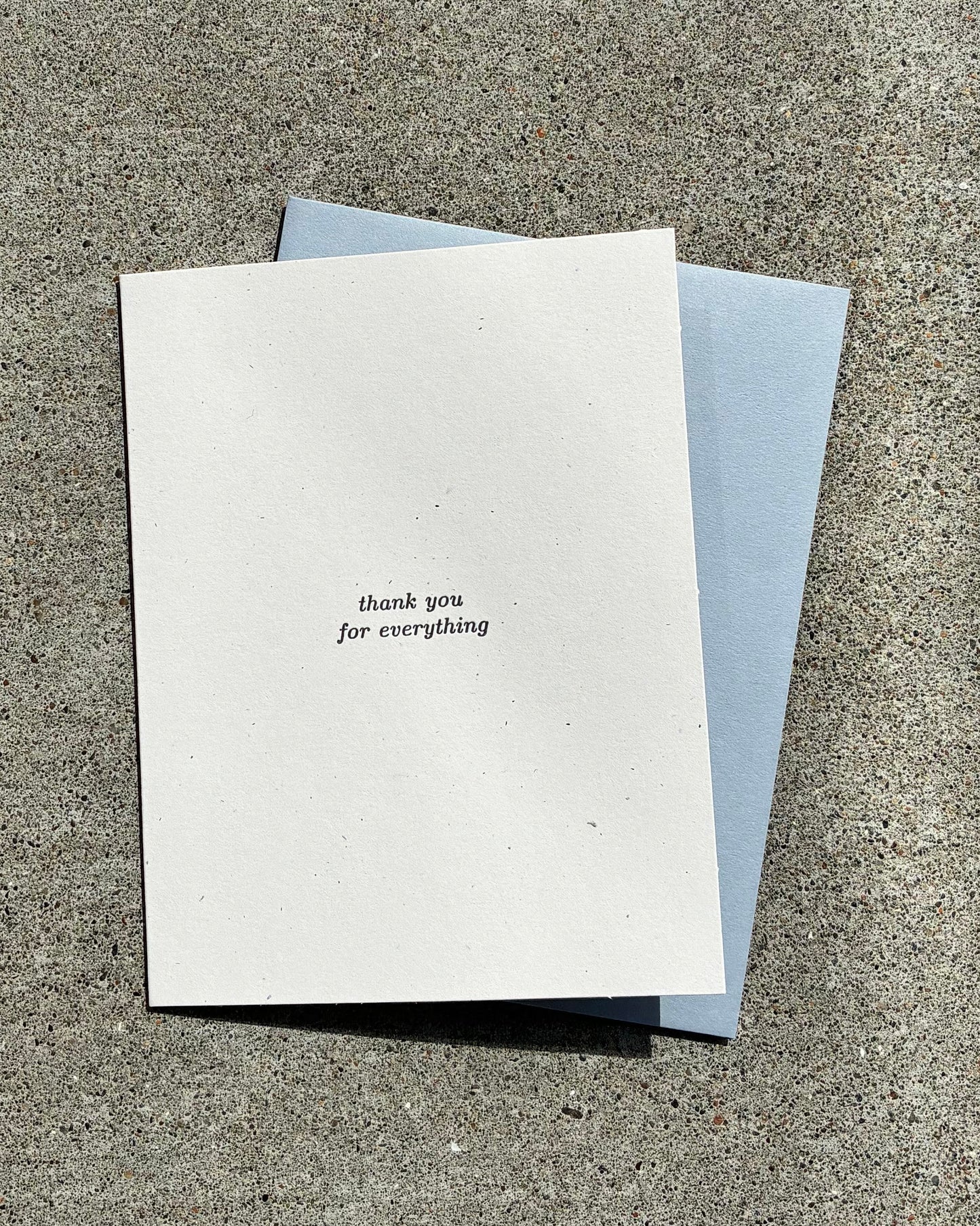 Thank You For Everything Greeting Card