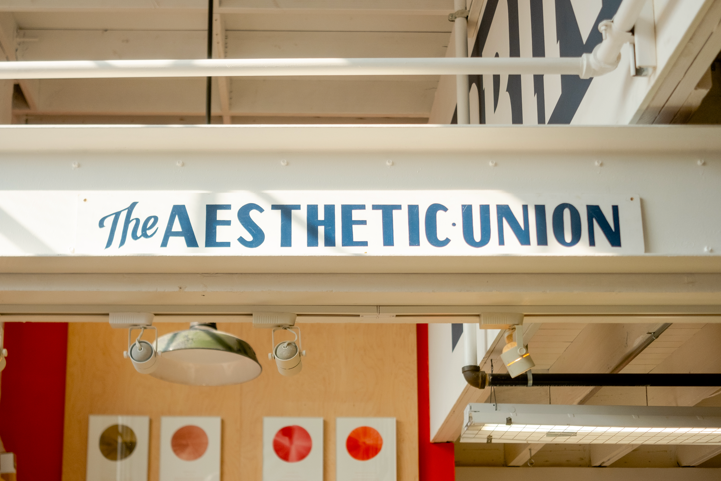 https://theaestheticunion.com/ social preview image