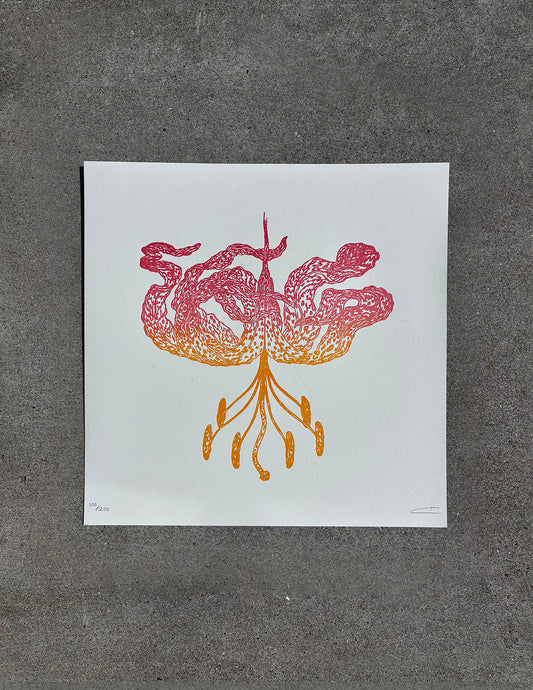 Leopard Lily / Cane Howlet